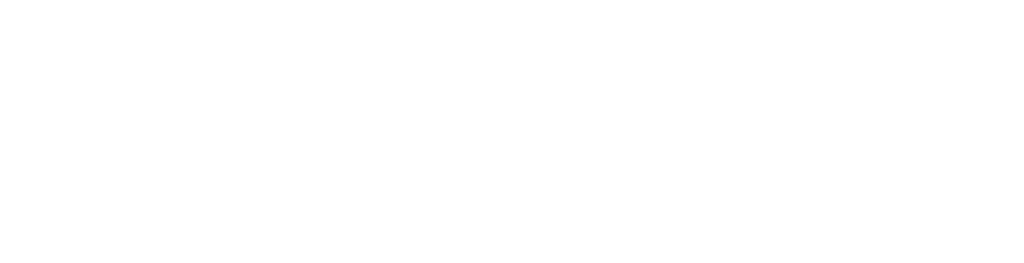 AMI USA