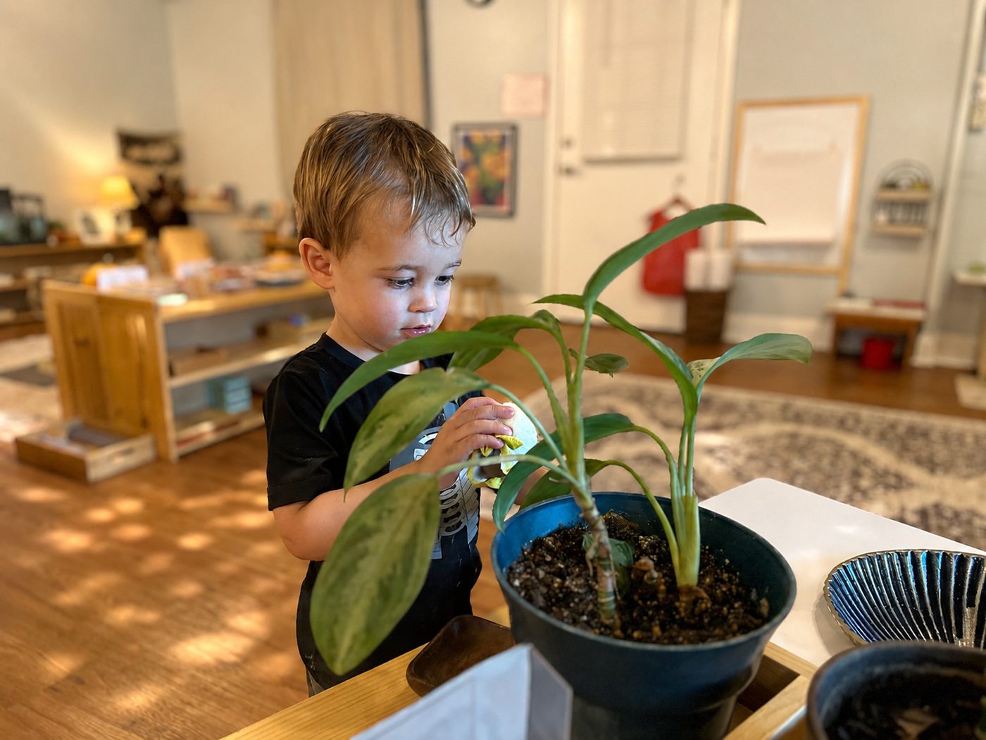 The Great Northern campus at Austin Montessori School